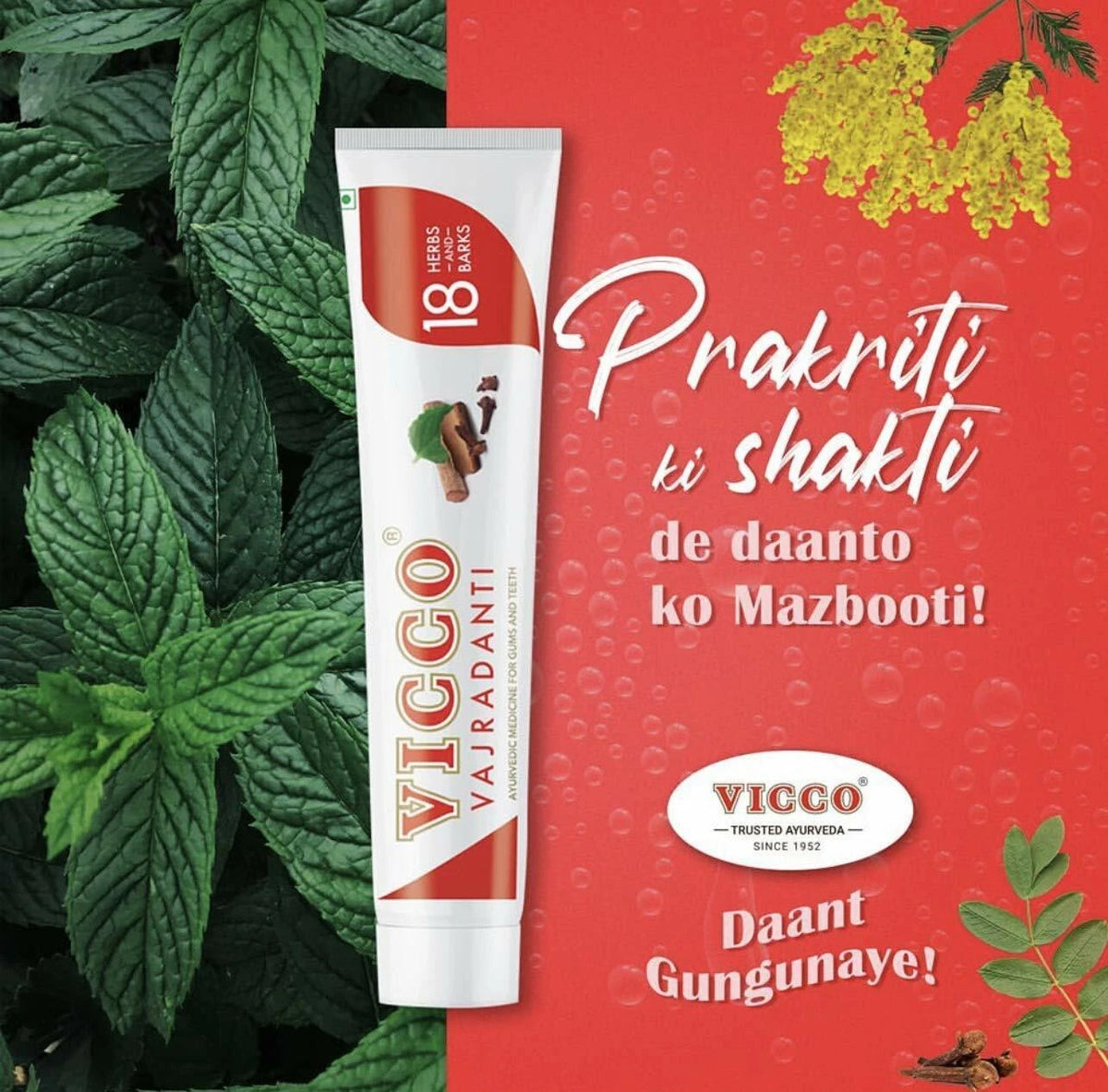 Vicco Vajradanti ziołowa pasta do zębów – zdjęcie 3